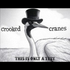 Basement Confessions: Crooked Cranes Keep It Real on ‘This is Only a Test’